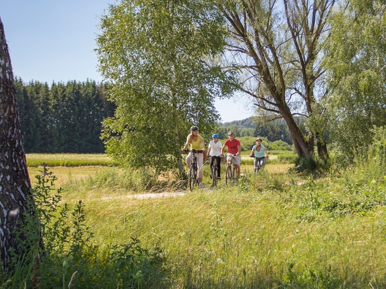 Auf dem Mindeltal-Radweg