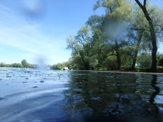 Gurrensee