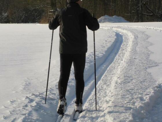 Ein Mann beim Langlauf