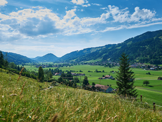Blick übers Konstanzer Tal