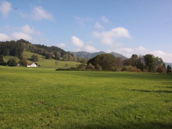 Landschaft kurz vor Großholzleute