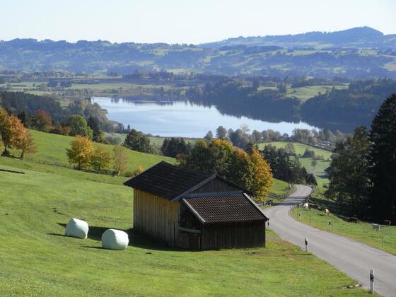 Der Niedersonthofener See