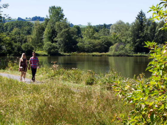 Am Stadtweiher