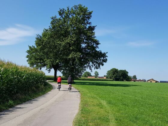 Auf dem Weg nach Moosbach
