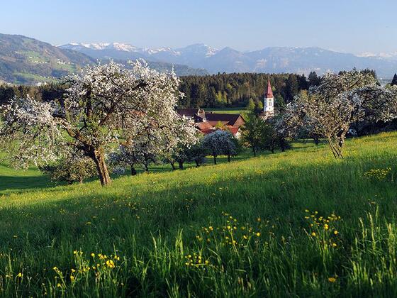 Blick ins Leiblachtal