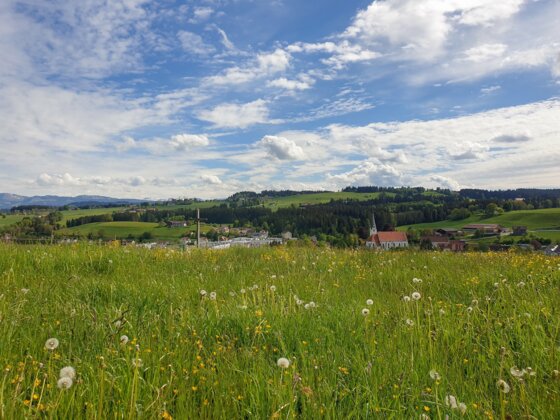 Aussicht vom Bodenseekreuz Heimenkirch