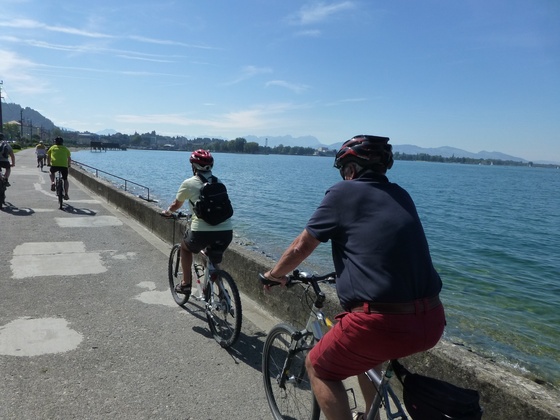Bodenseeradweg