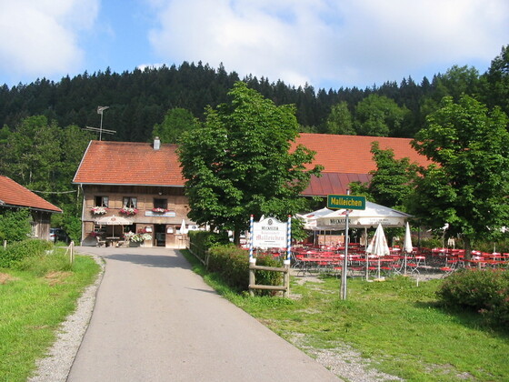 Malleichen