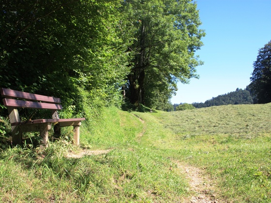 Idyllischer Rastplatz zwischen Frauenhof und Heinrich