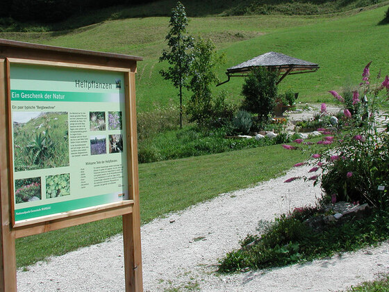 Heilpflanzen im Kräutergarten