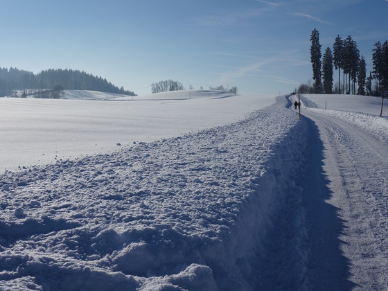 Winterlandschaft Richtung Altringenberg