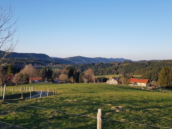 Pferrenberg
