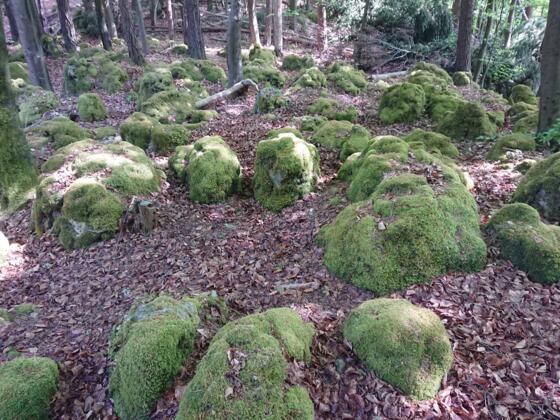 Der so genannte &quot;Judenfriedhof&quot; bei Plech