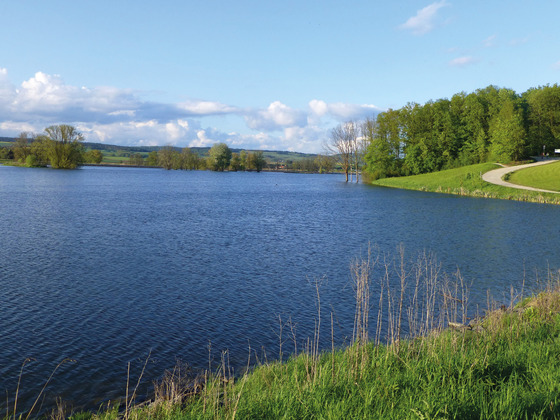 Goldbergsee Coburg im Sommer