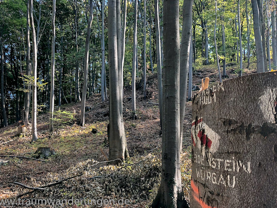 Aufstieg zum Wanderweg