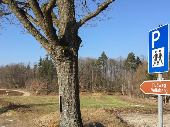 Parkpaltz