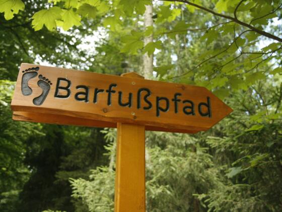 Naturlehrpfad am Rehberg