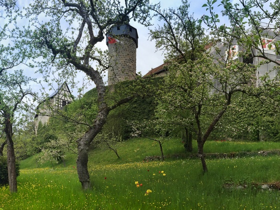 Burg Zwernitz