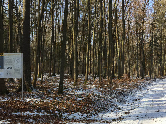 Hügelgräber