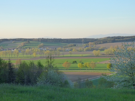 Blick ins Vilstal