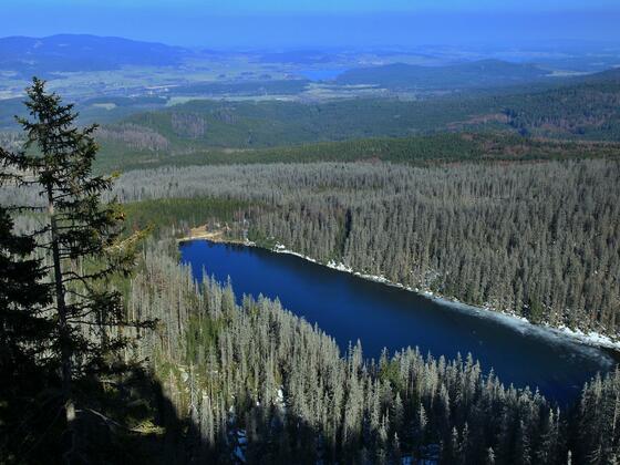 Plešné jezero