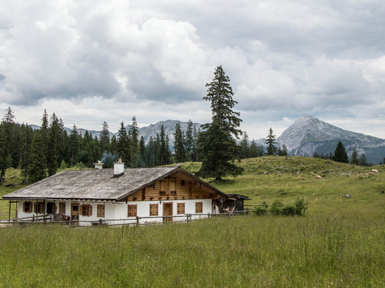 Kühroint Alm