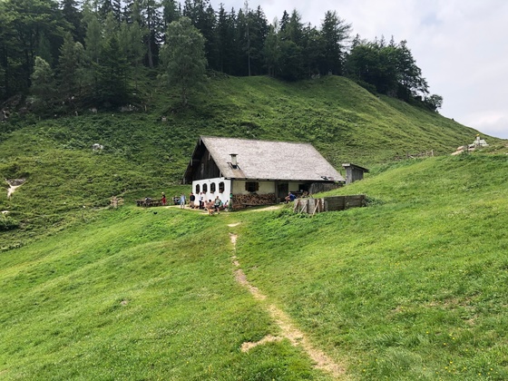 Halsalm