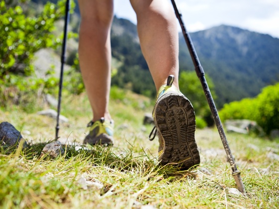 Nordic Walking Ainring und Wals
