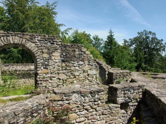 Ruine Altnußberg