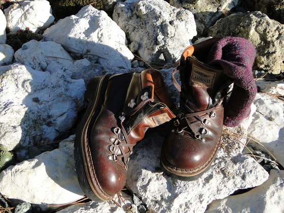 Wandern ab Drachselried