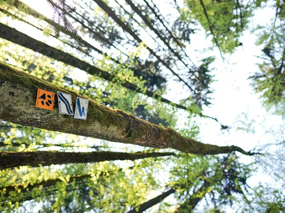 Flusswanderweg Bayerisch Eisenstein