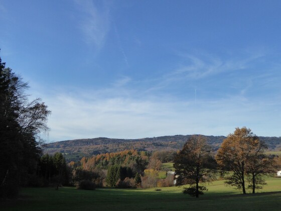 Aussicht auf Saulburg