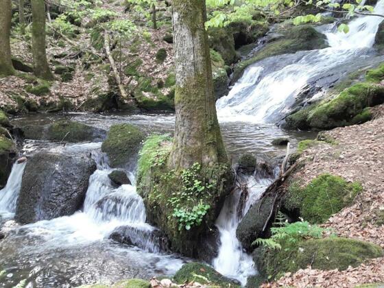 Nagelsteiner Wasserfälle