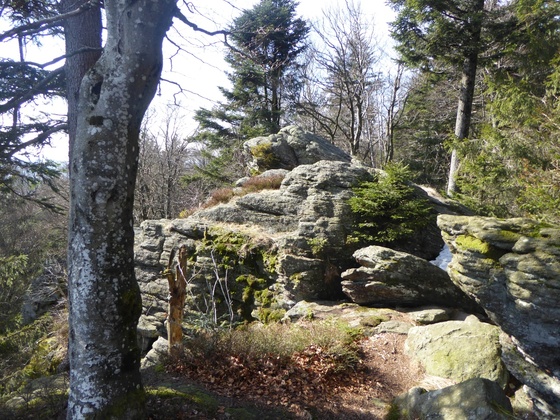 Am Saustein