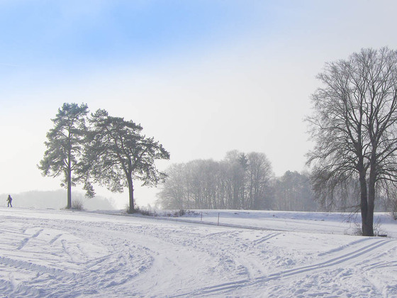 Ein Wintertraum
