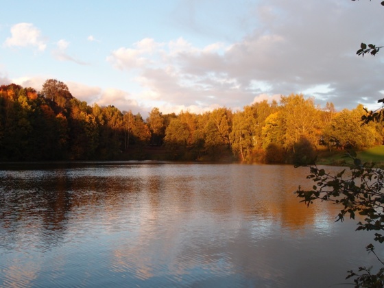 Lettenbachsee