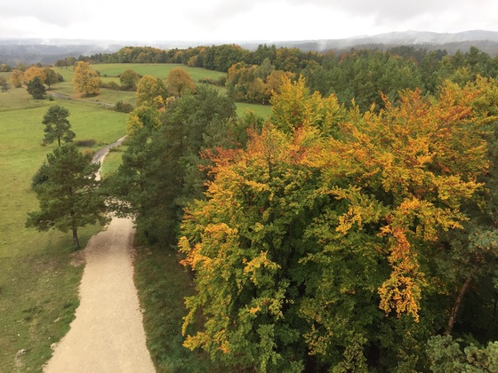 Herbstwald von der Himmelsleiter aus