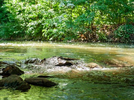 Fluss Roth