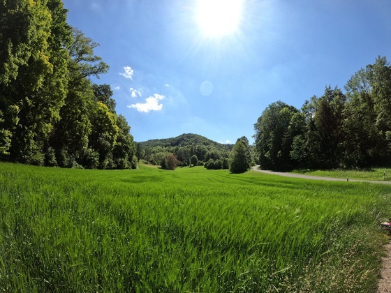 Im Döbertengrund