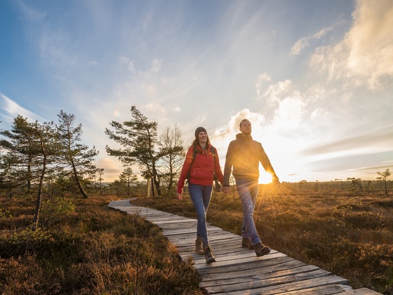 Unterwegs auf dem Bohlenpfad im Schwarzen Moor