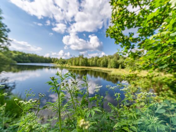 Moorsee am Roten Moor