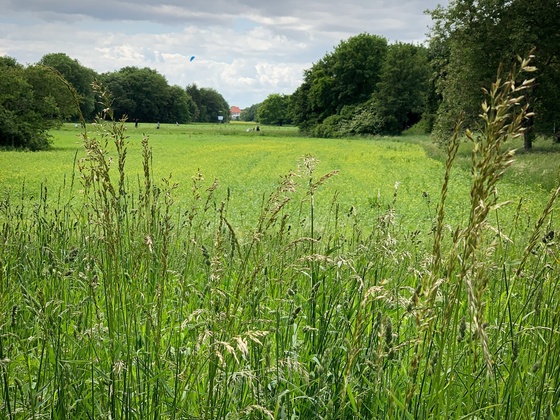 Durchblickpark
