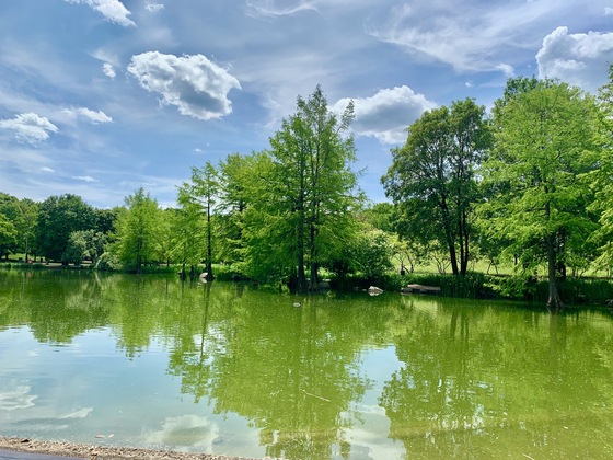 Mollsee auf der Seite des Café&#039;s Ganz am Wasser