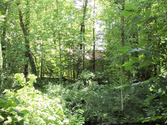 Ehemaliges Pasinger Schloss