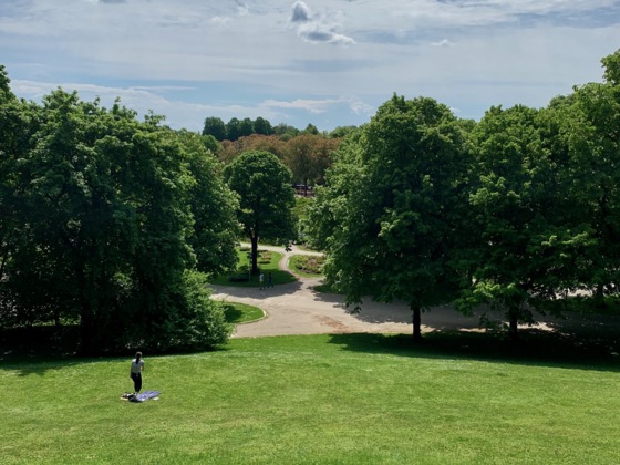 Ausblick vom Rosenhügel