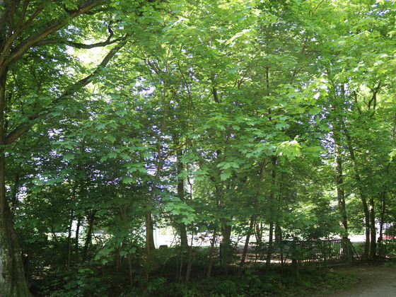 Angerlohe