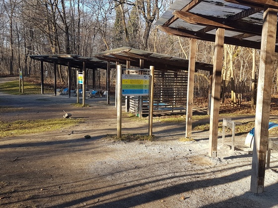Outdoor Gym am Flaucher Rückengeräte