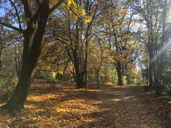 Der Valleyplatz
