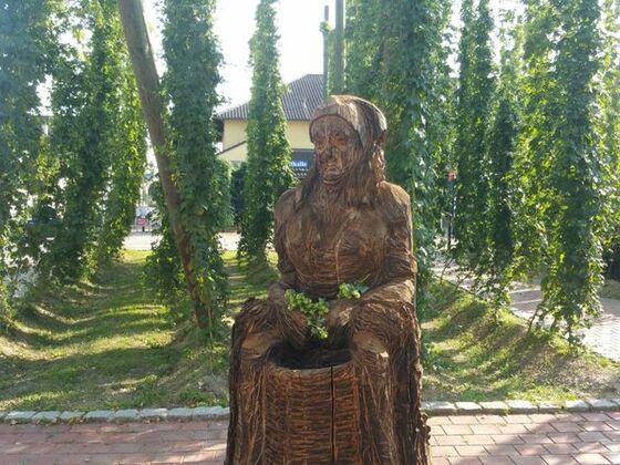 Hopfenzuperin &quot;Agnes&quot; am Hopfengarten