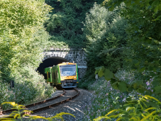 WBA1 Strecke Grafling-Arzting - Gotteszell